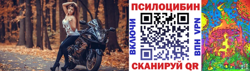 наркотики  Боготол  Галлюциногенные грибы Psilocybe 