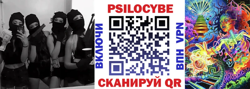 Галлюциногенные грибы Psilocybe Боготол